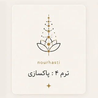 ترم 4 : پاکسازی